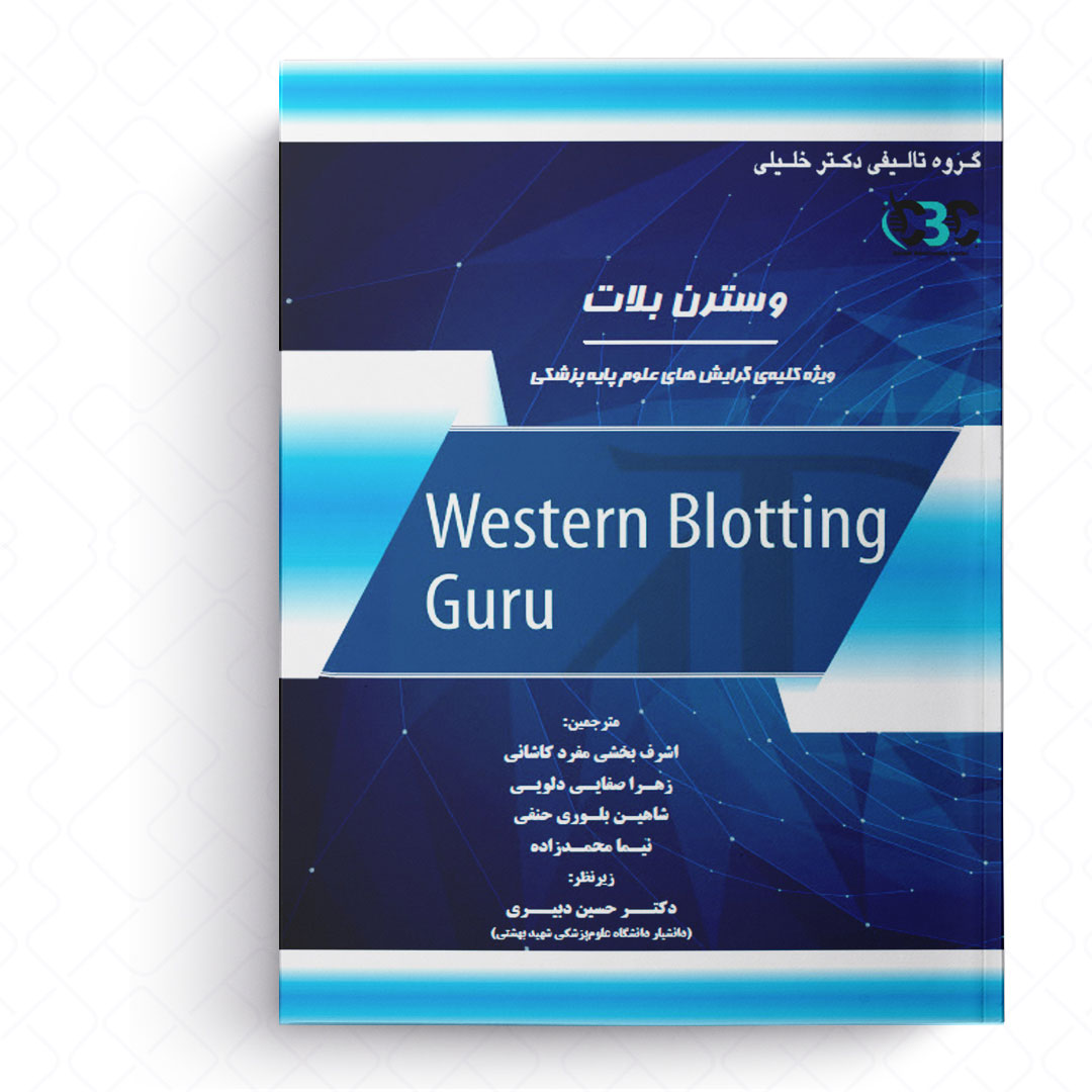 وسترن بلات